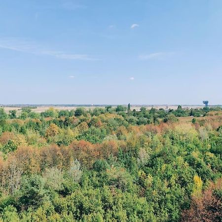Airport Studio For Two, Free Parking, Airport View Bratislava Exterior foto