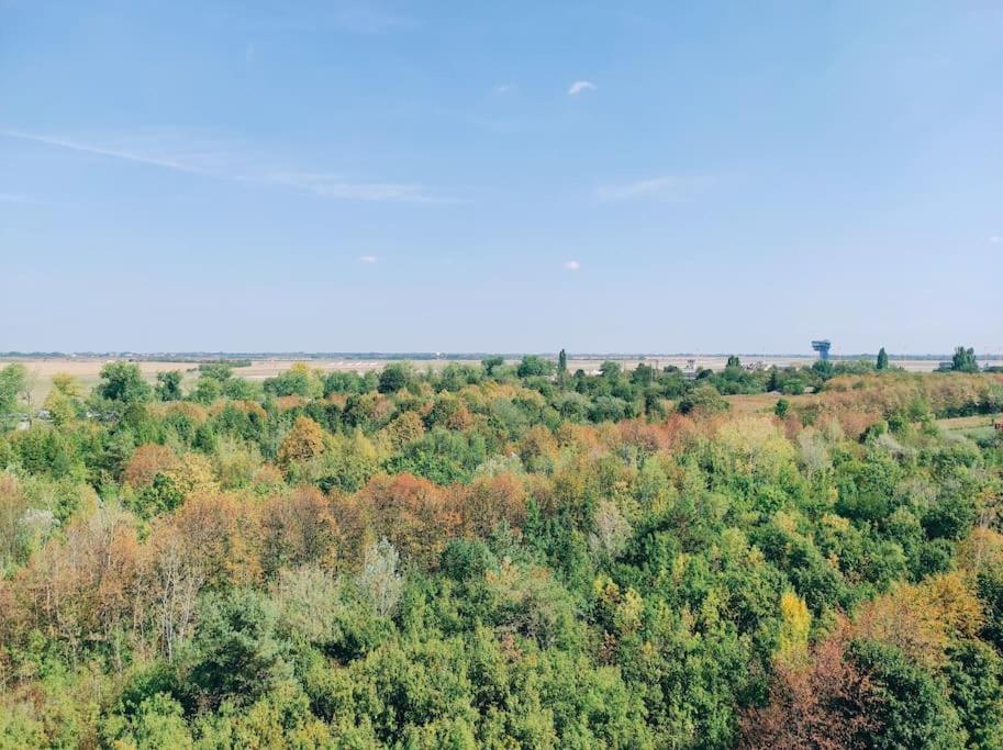 Airport Studio For Two, Free Parking, Airport View Bratislava Exterior foto